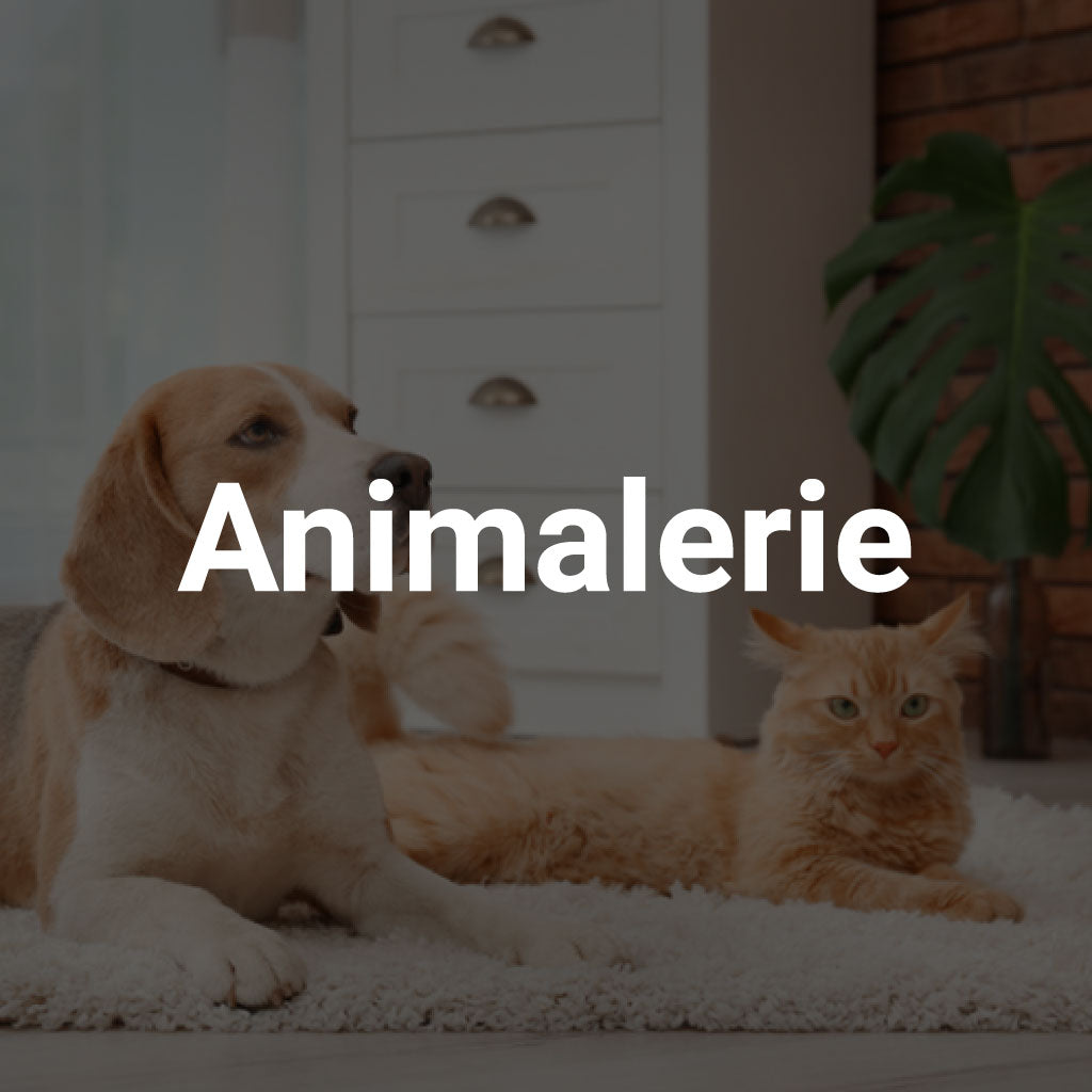 Animalerie