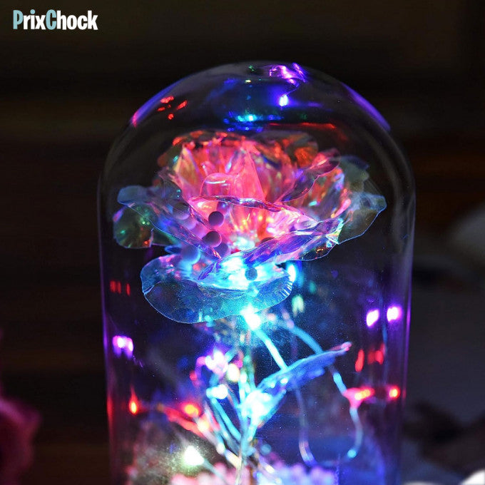 Rose Éternelle Coloré Avec Guirlande Lumineuse Féerique En Dôme De Verre Pour Décoration