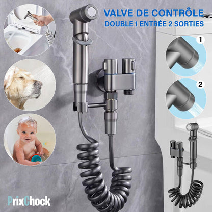 Valve De Contrôle Double 1 Entrée 2 Sorties - Pulvérisateur De Bidet À Main Pour Toilettes En Acier Inoxydable